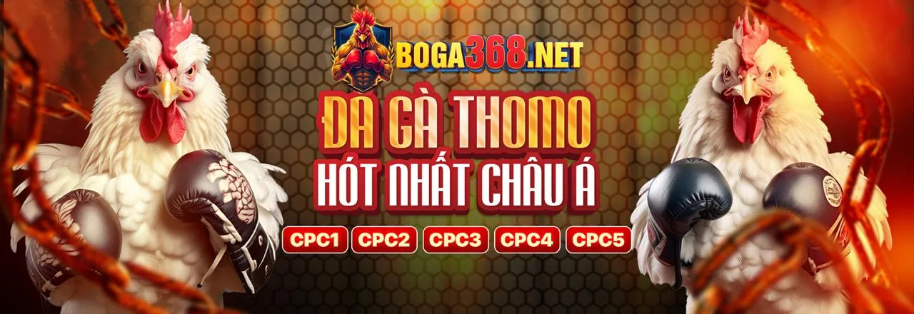 Đa dạng các loại hình cá cược trên abc88 app